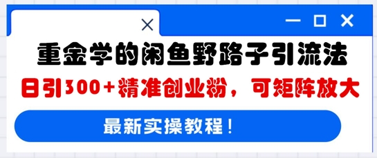 重金学的闲鱼野路子引流法,日引300+精准创业粉,可矩阵放大-轻创终点站